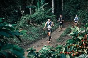 BIB: 
                            <button type="button" onclick="openModal(25791259)" class="btn btn-primary btn-sm float-right btn-popup" data-toggle="modal" data-target=".modal-high-quality">
                        <i class="fas fa-shopping-cart"></i> Add to Cart
                    </button>
                                            <button type="button" onclick="isThisMe(25791259, true)" class="btn btn-success btn-sm float-right btn-popup btn-isme hidden" data-toggle="tooltip" data-placement="bottom" title="นี่คือรูปของคุณใช่ไหม คลิกที่นี่เพื่อเอาเข้าอัลบั้ม">
                        <i class="fas fa-plus"></i> Add to album
                    </button>
                    <button type="button" onclick="isThisMe(25791259, false)" class="btn btn-warning btn-sm float-right btn-popup btn-isnotme hidden">
                        <i class="fas fa-ban"></i> Remove from album
                    </button>